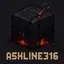 ASHLINE-316