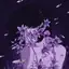 Purple Rain