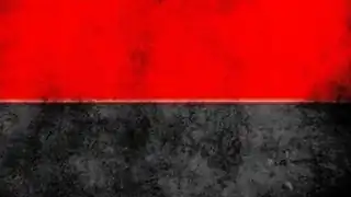 C14 - СІЧ - банер сервера