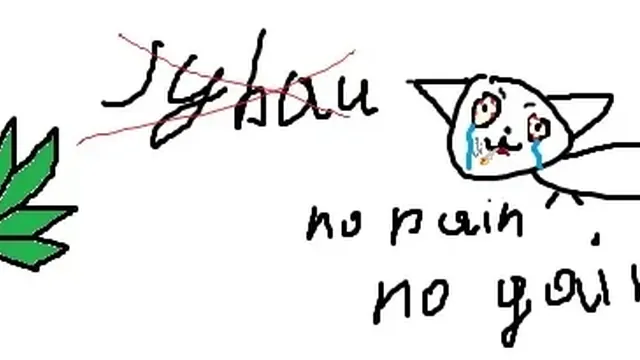 Республіка шмаль